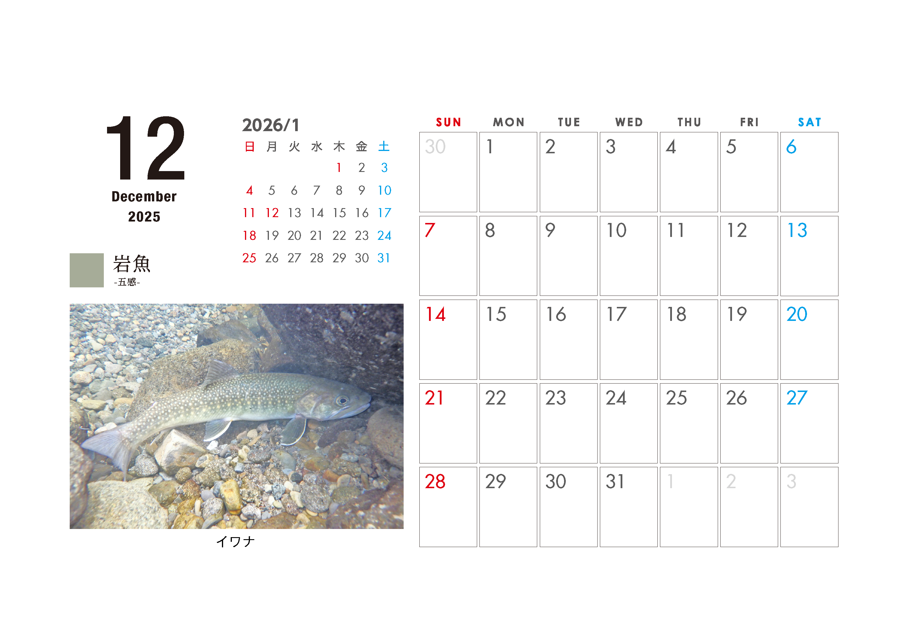 EACカレンダー【2025年12月】を紹介します！